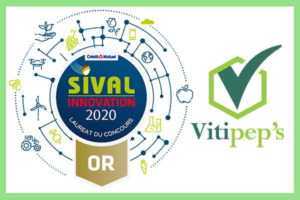 Lire la suite à propos de l’article VITIPEP’S obtient le SIVAL D’OR 2020 de l’innovation